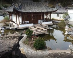 15.09.2018 chin-garten1.jpg