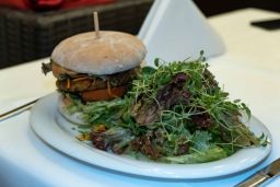 Hotel Schatten Lounge 02.12.18 8935.jpg