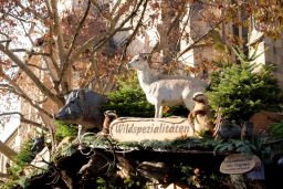 01.12.2018 Budenzauber 8345