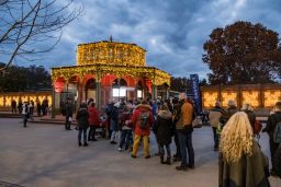 christmas garden 8434.jpg