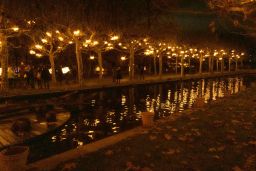 christmas garden 8443.jpg