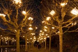 christmas garden 8446.jpg