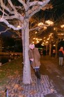 christmas garden 8449.jpg