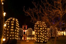 christmas garden 8471.jpg