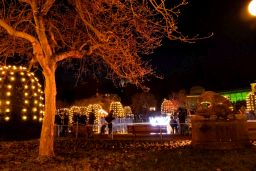 christmas garden 8473.jpg