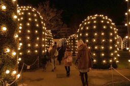 christmas garden 8480.jpg