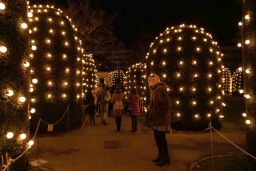 christmas garden 8481.jpg