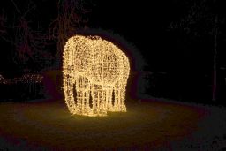 christmas garden 8497.jpg