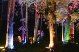 christmas garden 8506.jpg