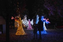 christmas garden 8514.jpg