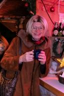 christmas garden 8518.jpg