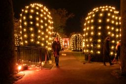 christmas garden 8543.jpg