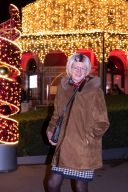 christmas garden 8583.jpg