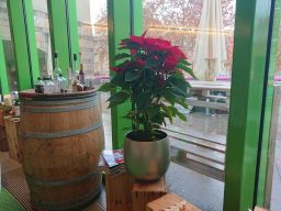 01.12.2018 Staatsgalerie Cafe DSC_5168.jpg